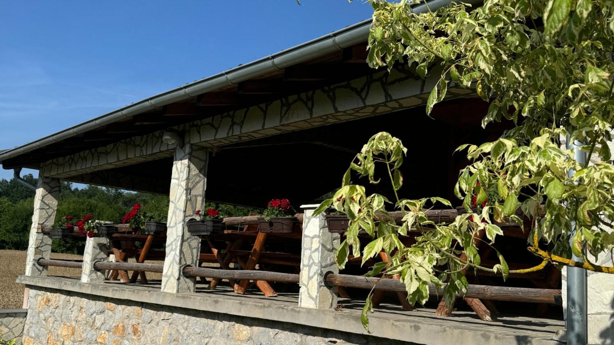 דספוטובאץ Forest Camp מראה חיצוני תמונה