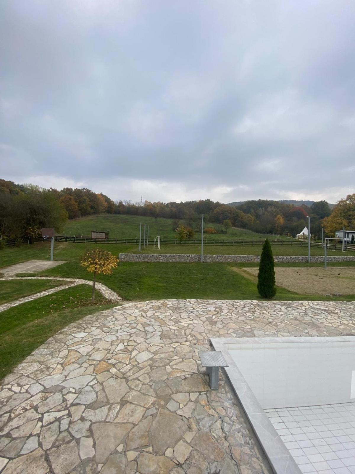 דספוטובאץ Forest Camp מראה חיצוני תמונה
